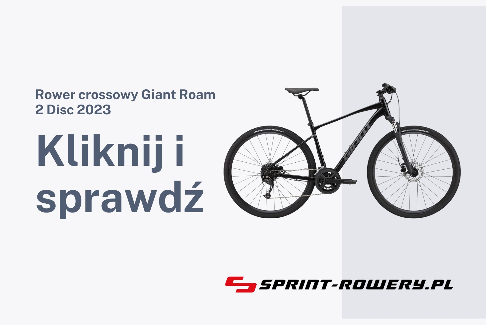 Rower crossowy Giant Roam 2 Disc 2023